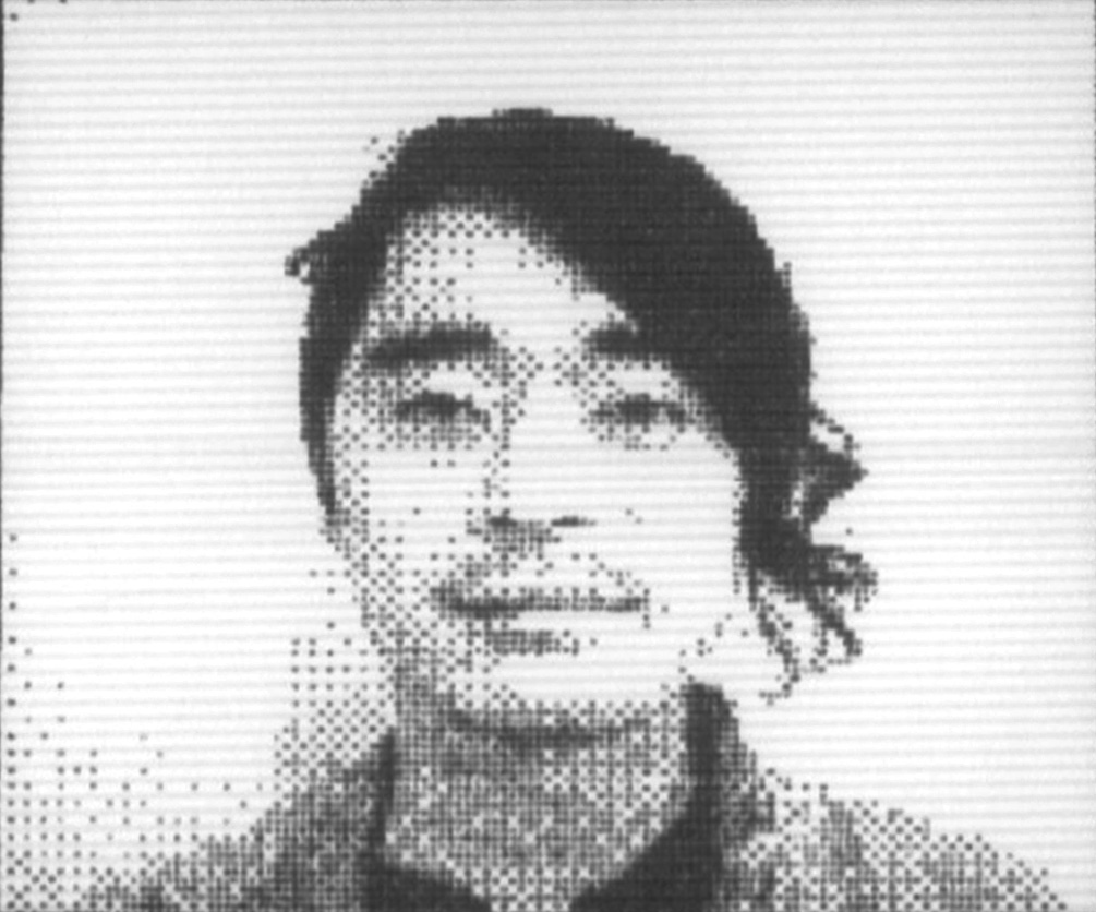 メンバーの写真